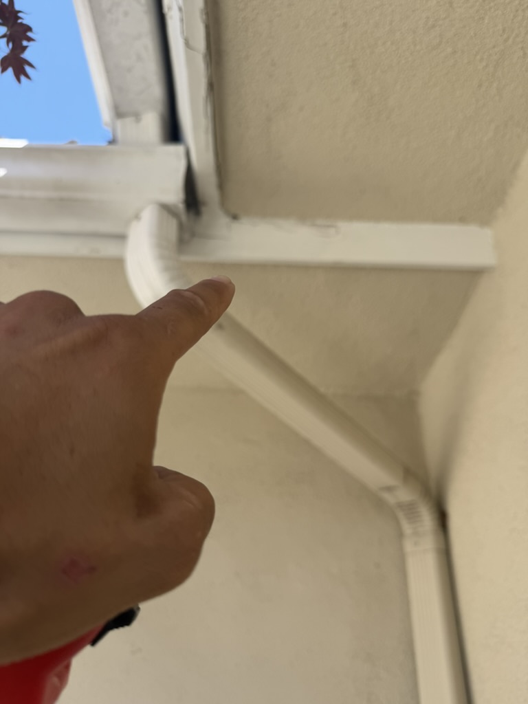 Pointing out fascia damage near gutter corner