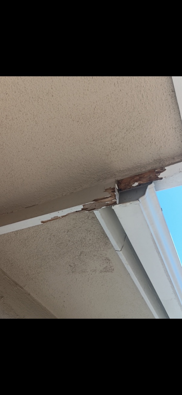 Peeling paint and wood rot on fascia board
