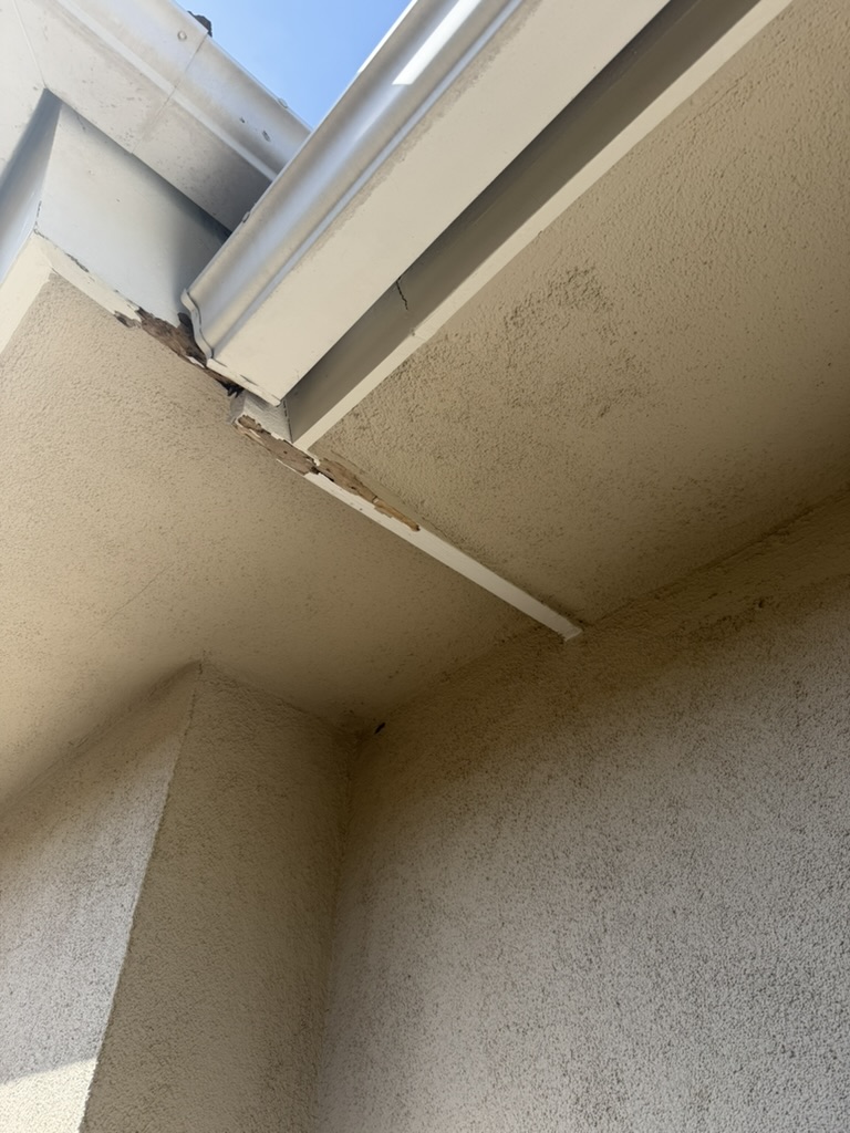 Rotted fascia board at roofline corner
