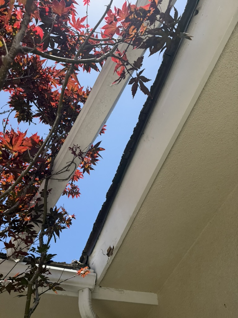 Gap in fascia board before repair