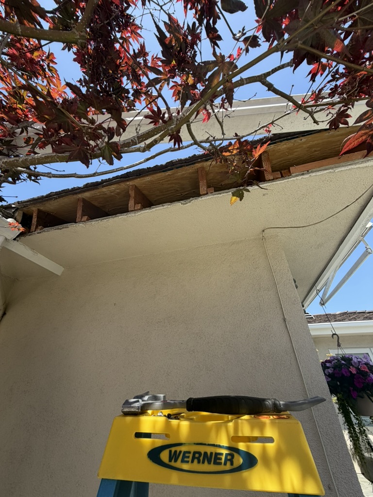 Fascia board removed exposing rafter tails during repair