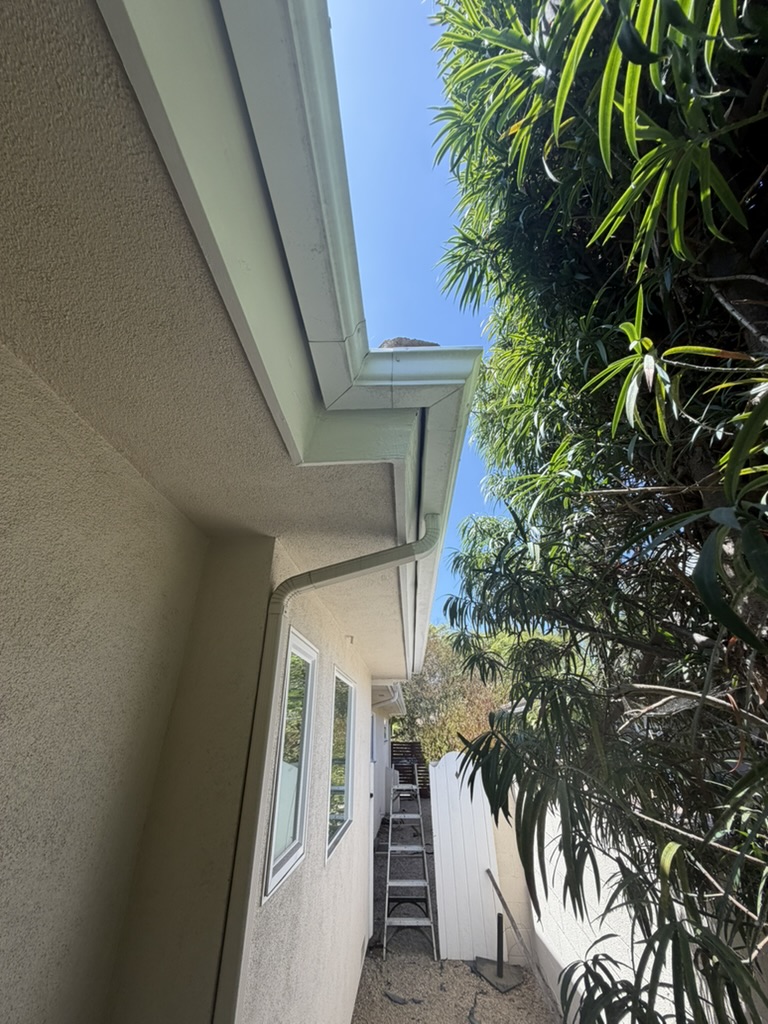 Repaired fascia board freshly repainted along roofline