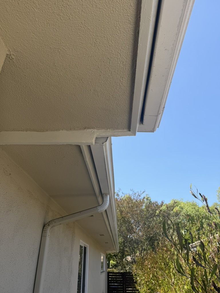 Freshly painted fascia board along the side of the house