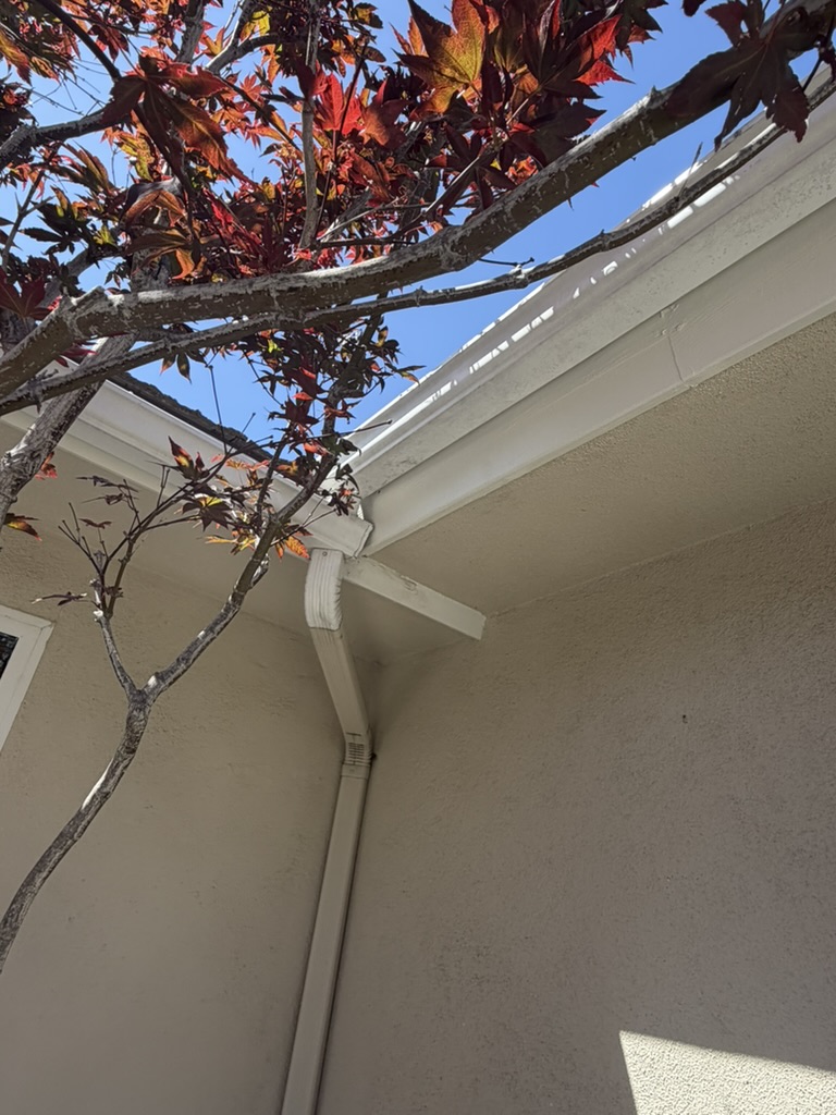Repaired and repainted fascia board with downspout